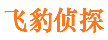 上思侦探公司